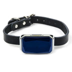 Collier GPS Mini Traceur pour Animal – GSM Wifi LBS Anti-Perte, Étanche IP67, pour Chien, Chat et Mouton