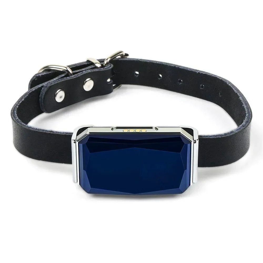 Collier GPS Mini Traceur pour Animal – GSM Wifi LBS Anti-Perte, Étanche IP67, pour Chien, Chat et Mouton