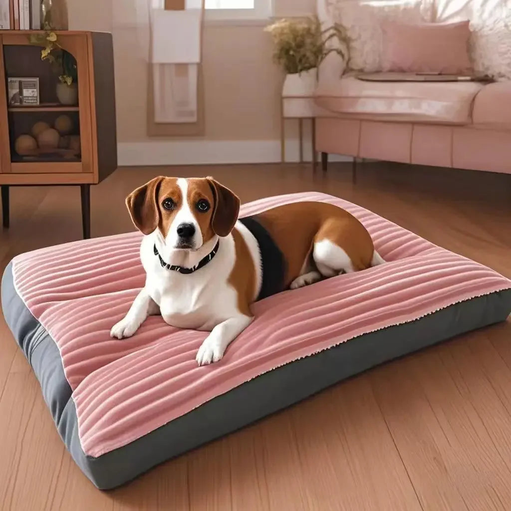 Tapis Canapé Velours Côtelé pour Grand Chien – Épais, Ultra-Doux, Lavable, Taille XL à XXXL