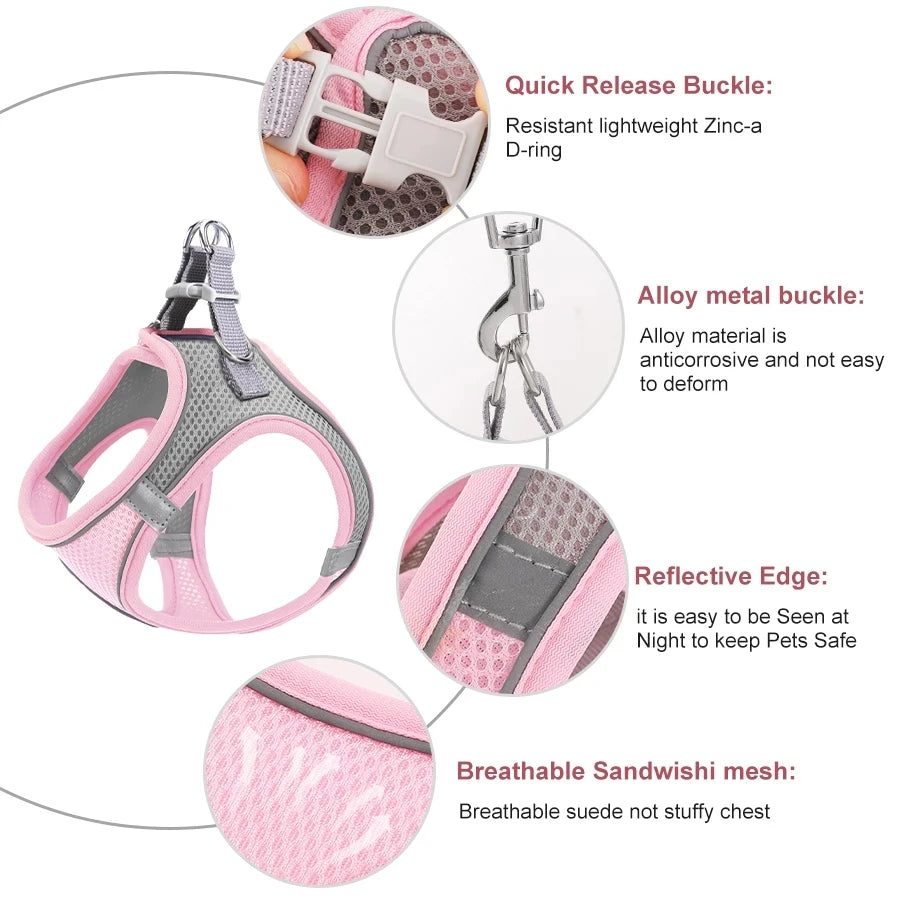 Harnais Réfléchissant Réglable pour Chat et Petit Chien – Laisse Incluse, Accessoires Animaux