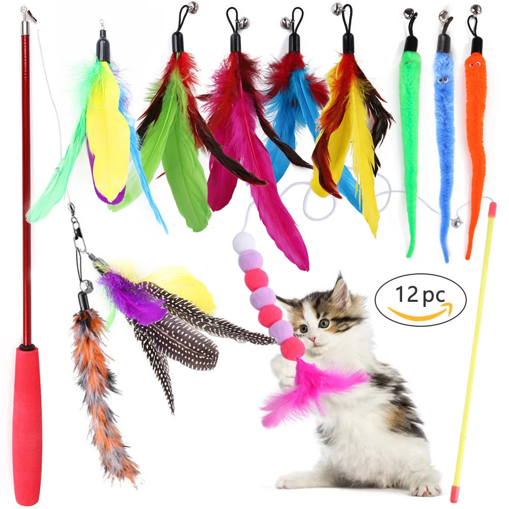 Set de Jouets Variés pour Chatons : Canne, Souris Sisal, Balle à Grelot et Accessoires