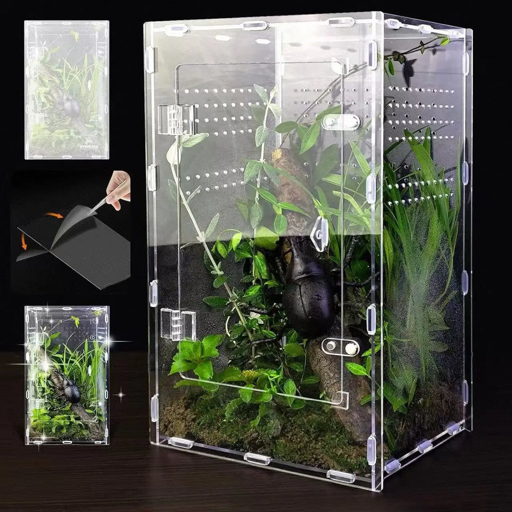 Boîte en Acrylique Transparente pour Insectes – Terrarium Personnalisable pour Araignées, Décor Rainforest et Animaux Rampants
