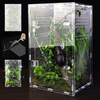 Boîte en Acrylique Transparente pour Insectes – Terrarium Personnalisable pour Araignées, Décor Rainforest et Animaux Rampants