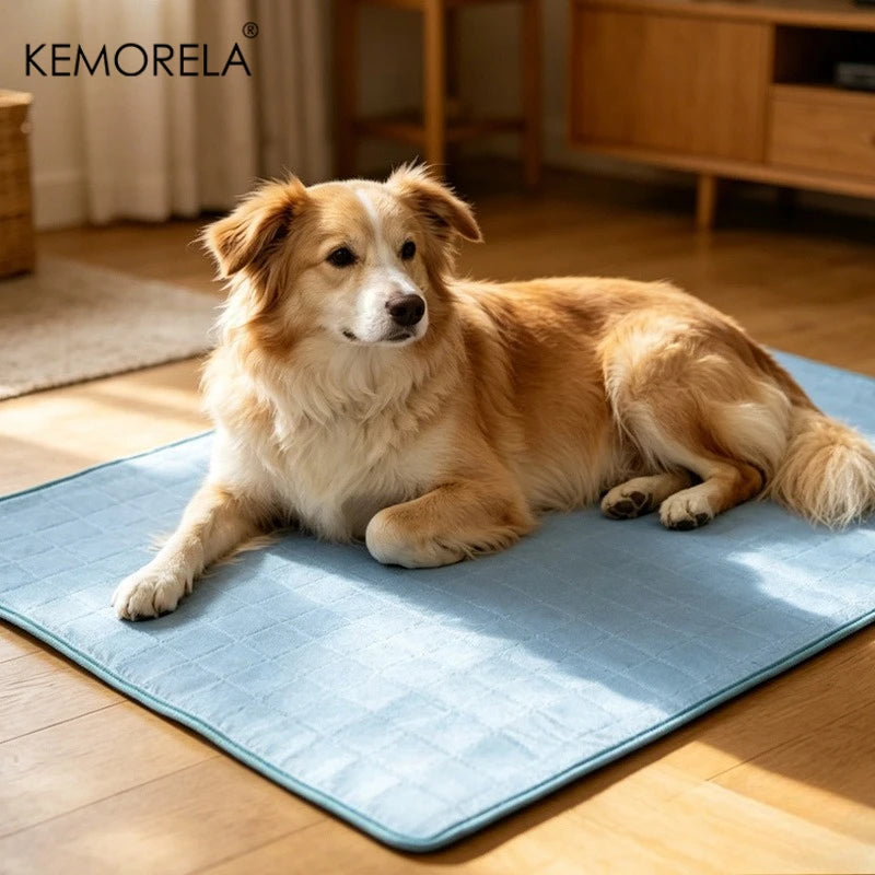 Tapis Rafraîchissant pour Chien – Lit Frais Respirant pour Petits et Grands Chiens, Idéal pour l'Été
