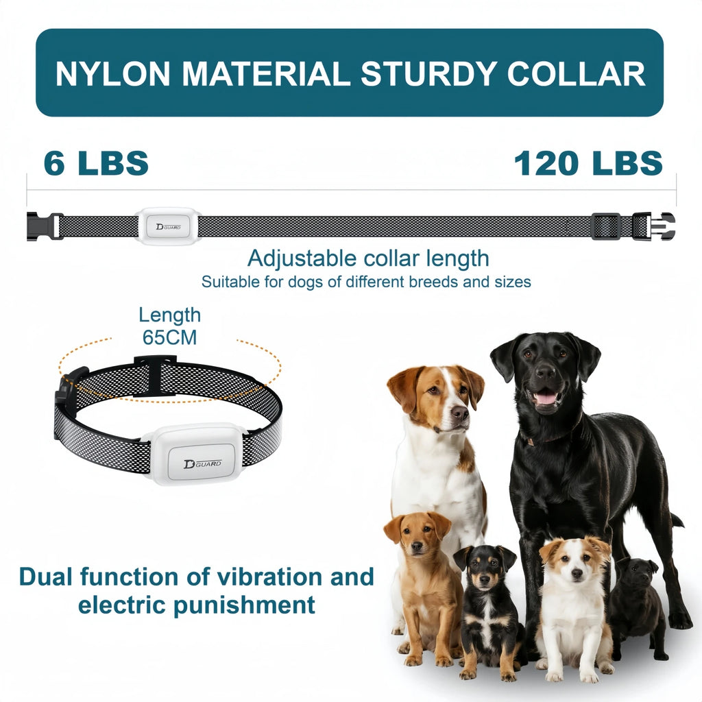 Collier de Dressage Électrique Étanche pour Chien – Télécommande, Rechargeable, Anti-Aboiement, Toutes Tailles