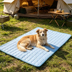 Tapis Rafraîchissant pour Chien – Lit Frais Respirant pour Petits et Grands Chiens, Idéal pour l'Été
