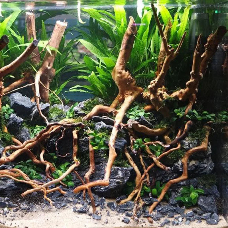 Racine de Bois Flotté Naturel pour Aquarium – Tronc, Branche, Décoration DIY Micro-Paysage Bac à Poissons