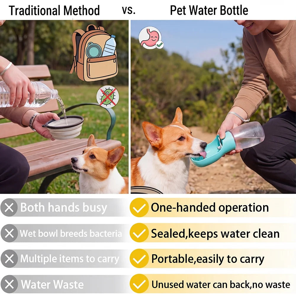 Gourde Portable pour Chien et Chat – Bol de Voyage Anti-Fuite 300 ml pour Petits et Grands Chiens, Distributeur d'Eau Outdoor