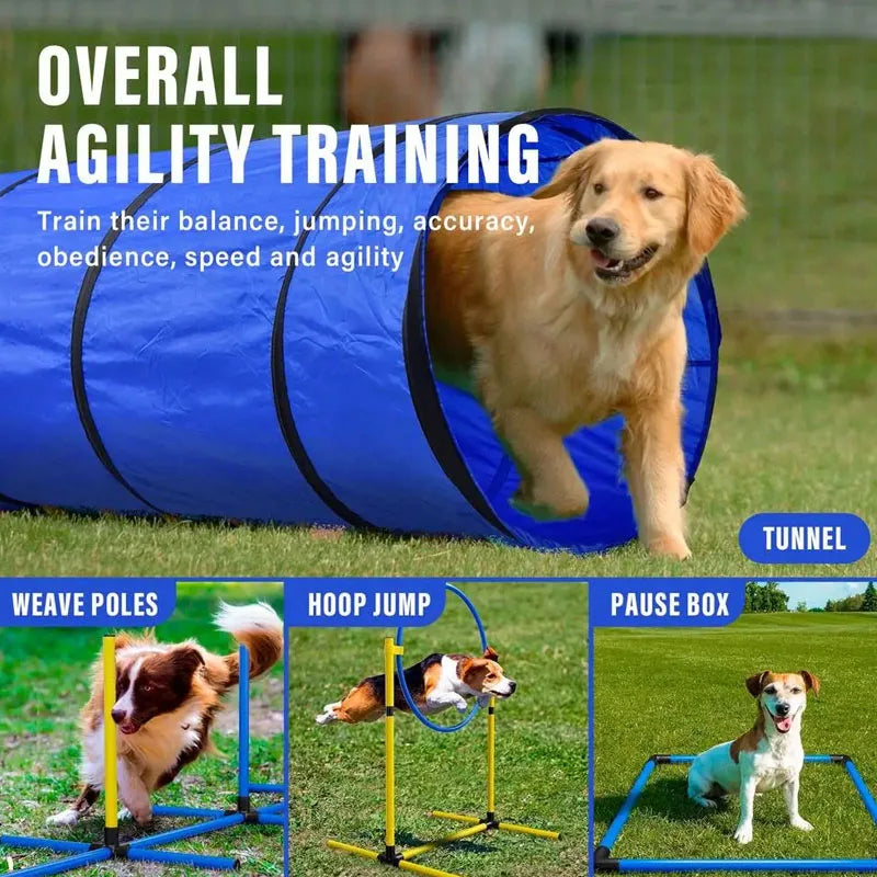 Tunnel d'Agilité Pliable pour Chien et Chat – Équipement d'Entraînement Outdoor et Sports Canins