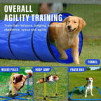 Tunnel d'Agilité Pliable pour Chien et Chat – Équipement d'Entraînement Outdoor et Sports Canins