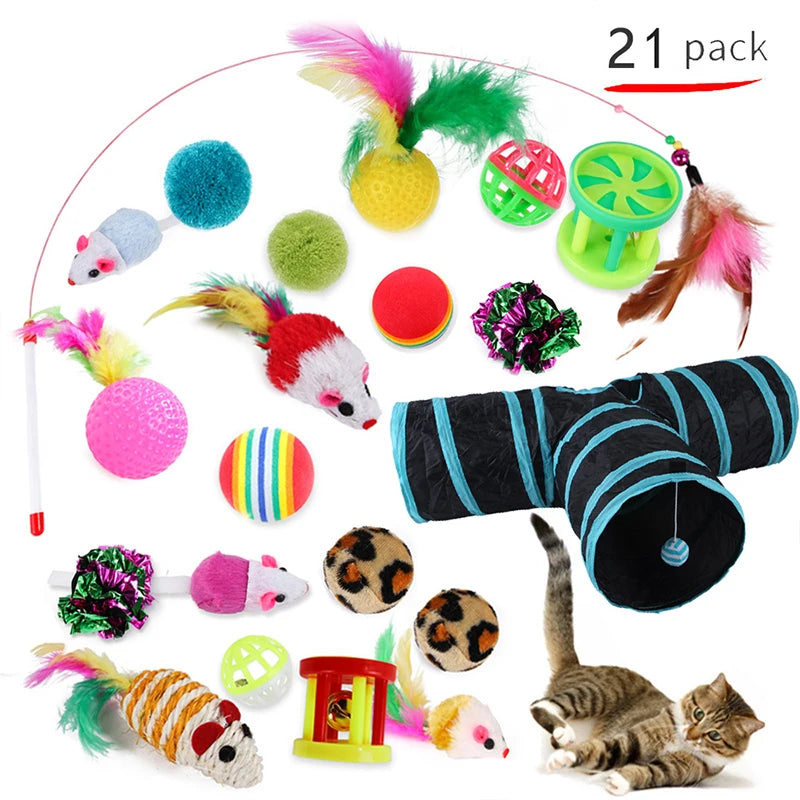 Set de Jouets Variés pour Chatons : Canne, Souris Sisal, Balle à Grelot et Accessoires
