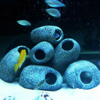 Grotte en Pierre pour Cichlidés – Ornement Aquarium, Bassin, Cachette pour Crevettes, Céramique (1/2/4 pièces)