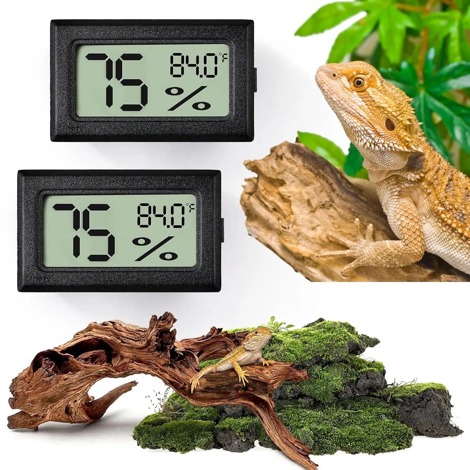 Lot de 2 Thermomètres-Hygromètres 2-en-1 pour Reptiles – Outil de Mesure Terrarium Reptiles et Amphibiens