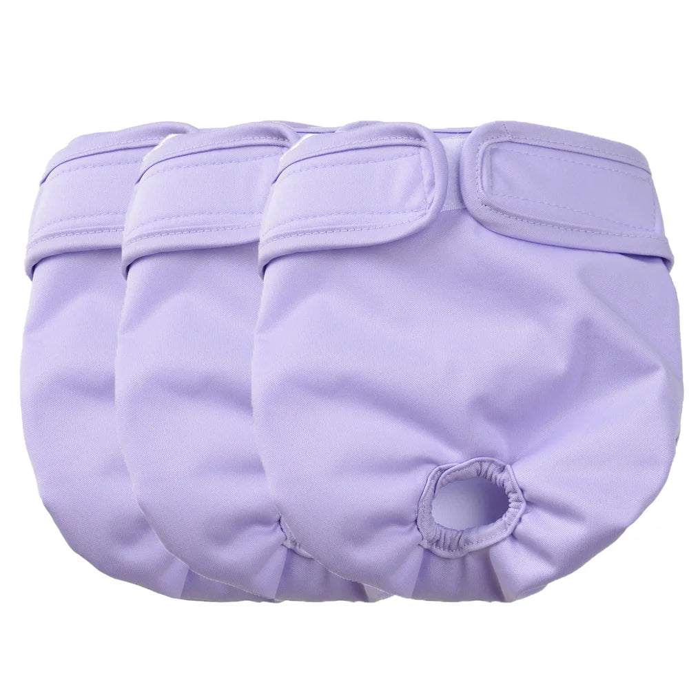 3 Couches Lavables pour Chienne – Élastiques, Respirantes, Réutilisables – Petites et Moyennes Races