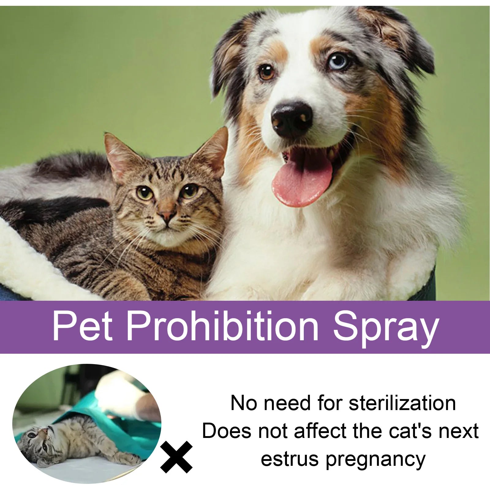 Spray Calmant aux Phéromones pour Chat et Chien – Réducteur d'Anxiété et d'Éstrus, Diffuseur Apaisant Anti-Aboiements