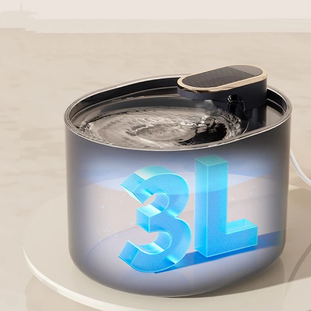 Distributeur d'eau pour chats et chiens – Bouche sèche, filtration automatique, circulation continue, accessoire animalerie