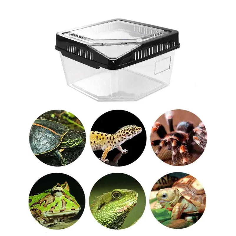 Boîte Transparente Anti-Évasion pour Reptiles – Terrarium en Plastique avec Couvercle Rabattable pour Lézards, Escargots et Petits Reptiles