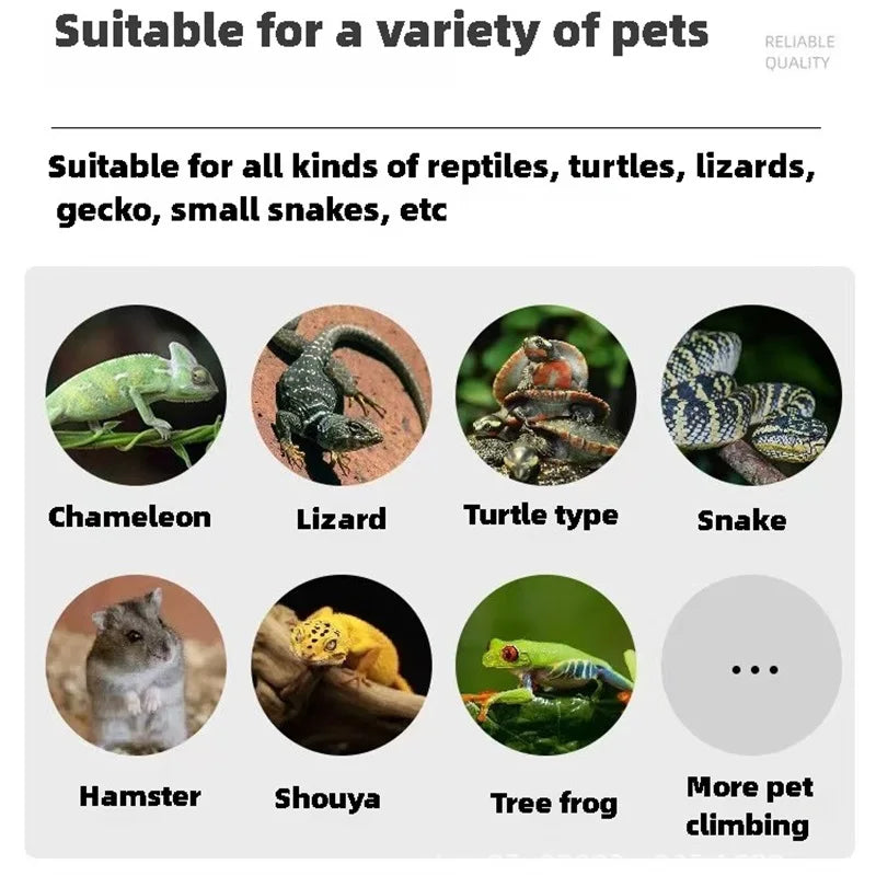 Cage Portable pour Reptiles – Boîte d'Élevage avec Grille Aérée pour Grenouilles, Dragons Barbus et Tortues