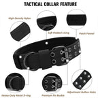 Collier Tactique Militaire pour Chien – Nylon Robuste, Réglable, pour Chiens Moyens et Grands