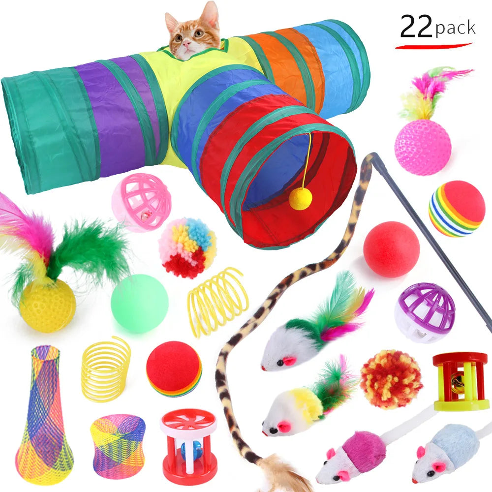 Set de Jouets Variés pour Chatons : Canne, Souris Sisal, Balle à Grelot et Accessoires
