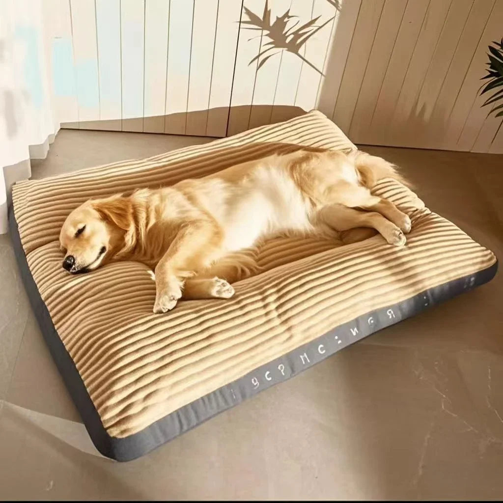 Tapis Canapé Velours Côtelé pour Grand Chien – Épais, Ultra-Doux, Lavable, Taille XL à XXXL