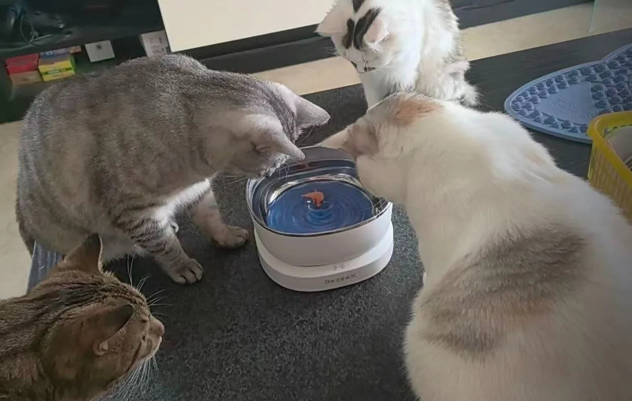 Fontaine à Eau pour Chat à Entraînement Magnétique Sans Fil – 100 Jours d'Autonomie, Ultra Silencieuse, Sans Filtre, Bol Suspendu