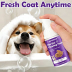 Shampoing Sec Mousse pour Chiens & Chats – Sans Rinçage, Déodorant & Nettoyant pour Chiot & Chaton