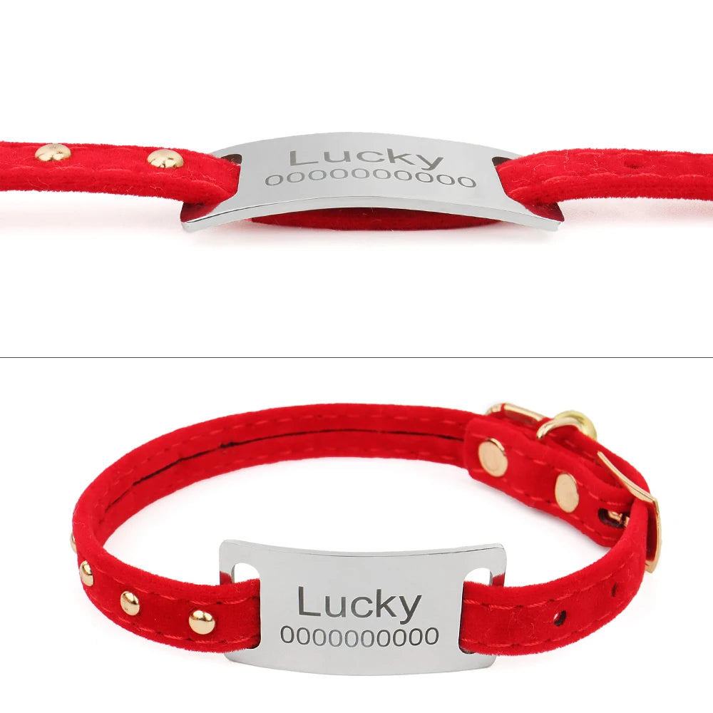 Médaille Personnalisée pour Collier Chat et Chien – Gravure Prénom | Acier Inoxydable | Anti-Perte