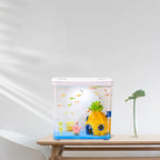 Aquarium Domestique Mini Betta – Petit Aquarium Écologique de Bureau pour Salon