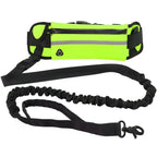 Laisse de Course pour Chien – Ceinture Lombaire avec Sac, Laisse Élastique Rétractable, Réfléchissante, Nylon