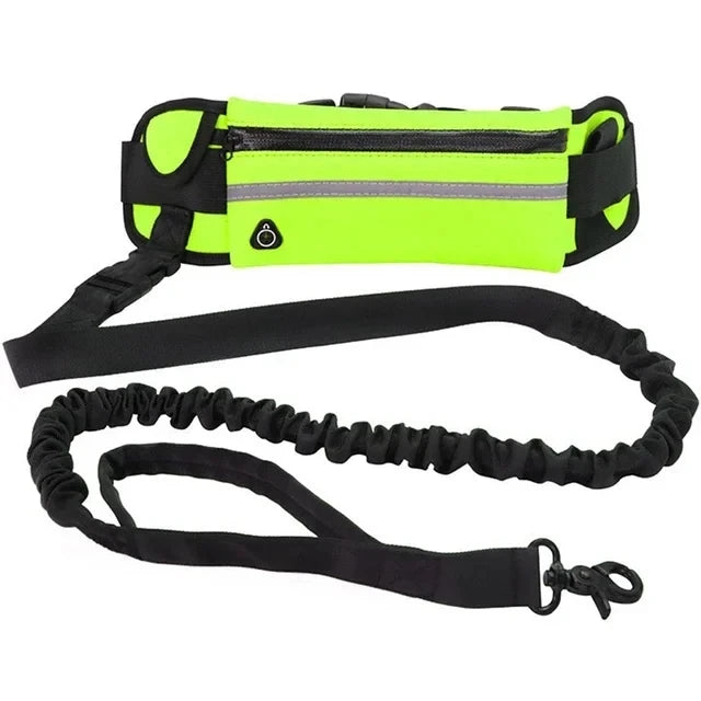 Laisse de Course pour Chien – Ceinture Lombaire avec Sac, Laisse Élastique Rétractable, Réfléchissante, Nylon