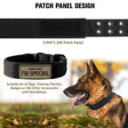 Collier Tactique Militaire pour Chien – Nylon Robuste, Réglable, pour Chiens Moyens et Grands