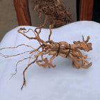 Racine de Bois Flotté Naturel pour Aquarium – Tronc, Branche, Décoration DIY Micro-Paysage Bac à Poissons