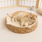 Lit Griffoir Rond pour Chat en Corde de Coton – Respirant, Résistant, Style Boho – Accessoire Maison