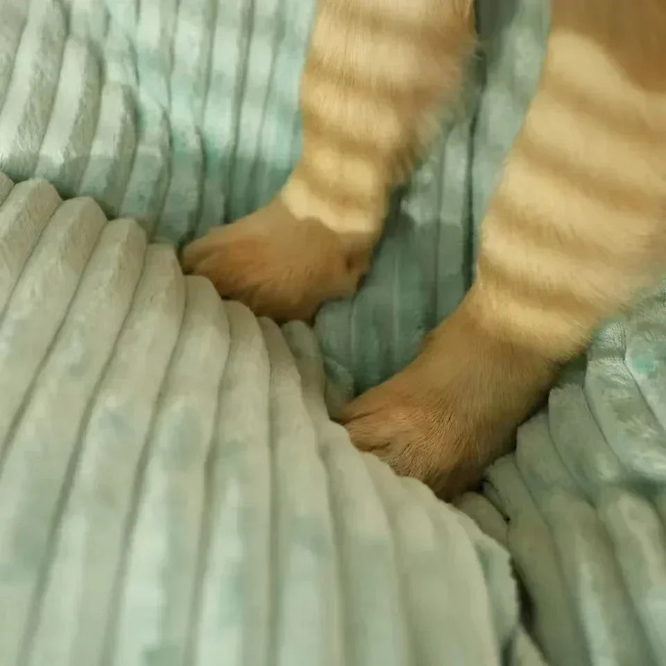 Tapis Canapé Velours Côtelé pour Grand Chien – Épais, Ultra-Doux, Lavable, Taille XL à XXXL