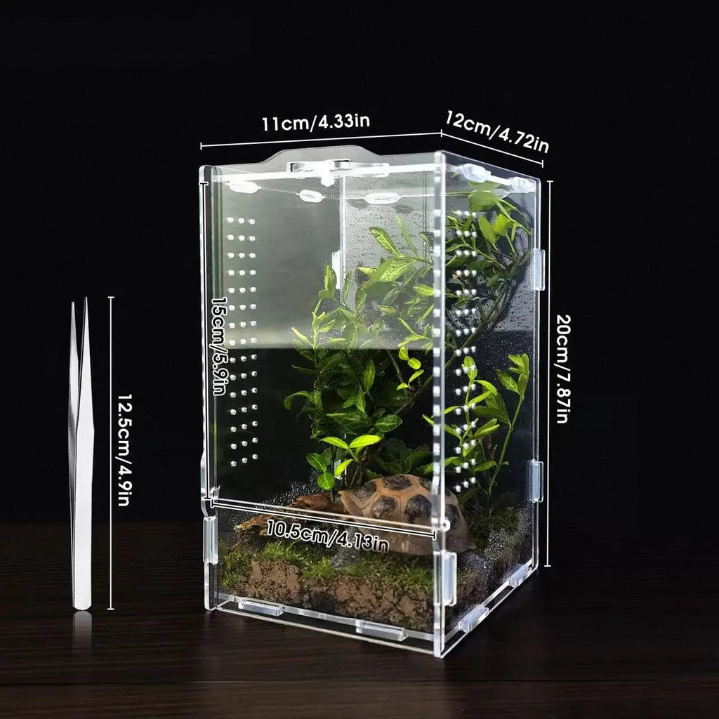 Boîte en Acrylique Transparente pour Insectes – Terrarium Personnalisable pour Araignées, Décor Rainforest et Animaux Rampants