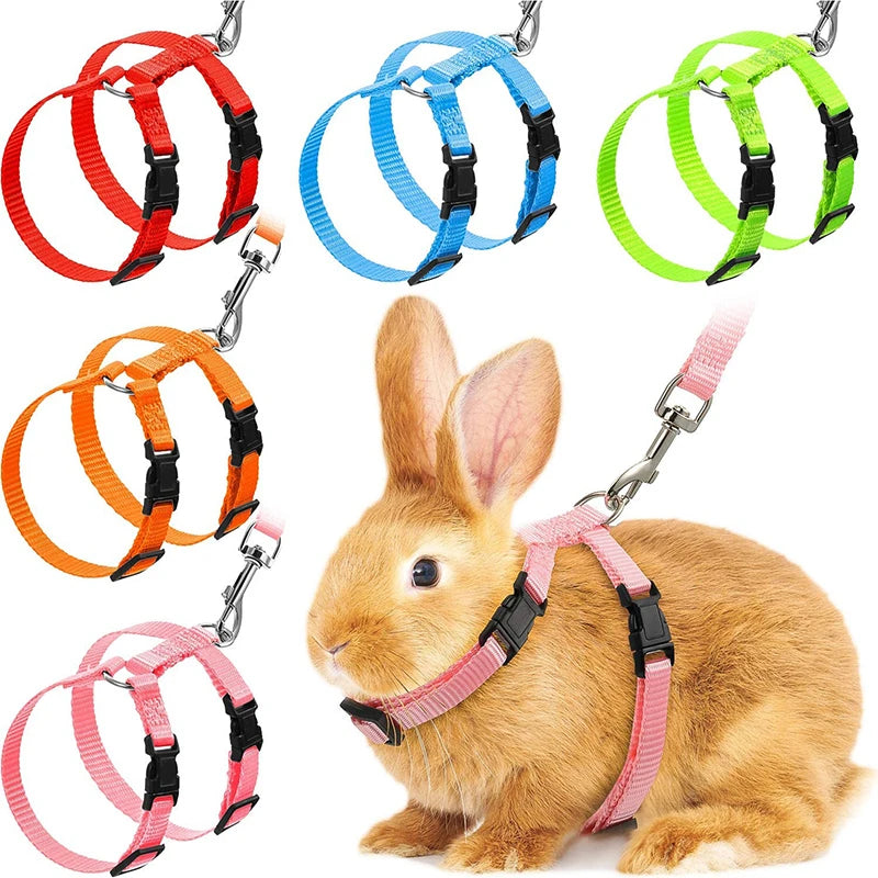 Harnais et Laisse Réglables pour Lapin et Chat – Nylon, Balade Extérieure, Chaton, Lapin Nain (Accessoires)