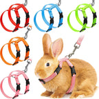 Harnais et Laisse Réglables pour Lapin et Chat – Nylon, Balade Extérieure, Chaton, Lapin Nain (Accessoires)