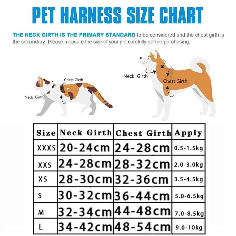 Harnais Réfléchissant Réglable pour Chat et Petit Chien – Laisse Incluse, Accessoires Animaux