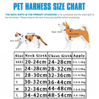 Harnais Réfléchissant Réglable pour Chat et Petit Chien – Laisse Incluse, Accessoires Animaux