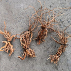 Racine de Bois Flotté Naturel pour Aquarium – Tronc, Branche, Décoration DIY Micro-Paysage Bac à Poissons