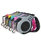 Laisse Rétractable pour Chien 3m 5m – Petits, Moyens et Grands Chiens & Chats – Nylon Résistant