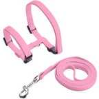 Harnais et Laisse Réglables pour Lapin et Chat – Nylon, Balade Extérieure, Chaton, Lapin Nain (Accessoires)