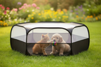 Enclos pliable chaton et petit chien jardin