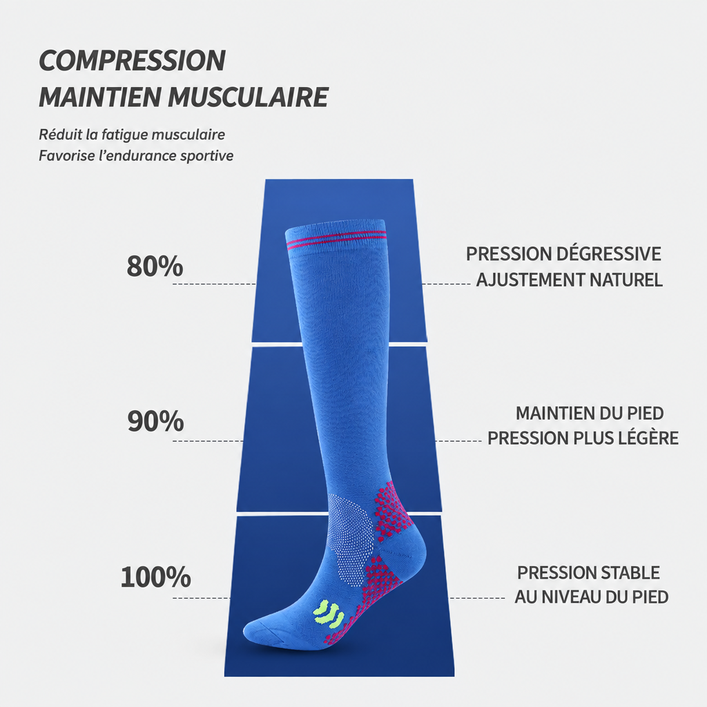 Schéma des niveaux de compression avec textes en français